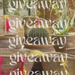 IT’S GIVEAWAY TIME !